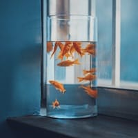 Ảnh đại diện người dùng Thanh Hằng